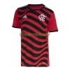 Original Fußballtrikot CR Flamengo Ausweichtrikot 2022-23 Für Herren